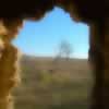 View from inside out