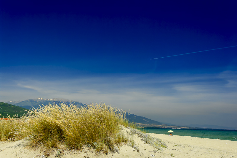 sand dunes olympic beach