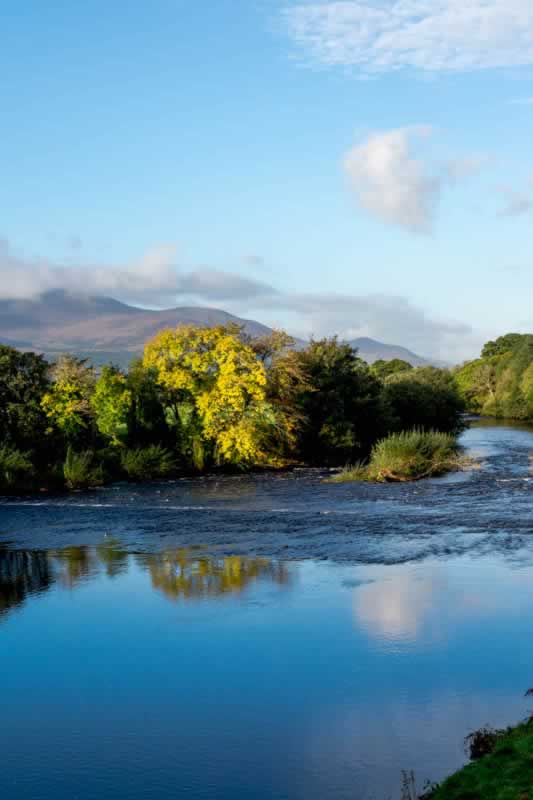 Comparative Route Performance: Q1 2026 Data