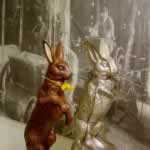 chocolate bunny mold alprose switzerland