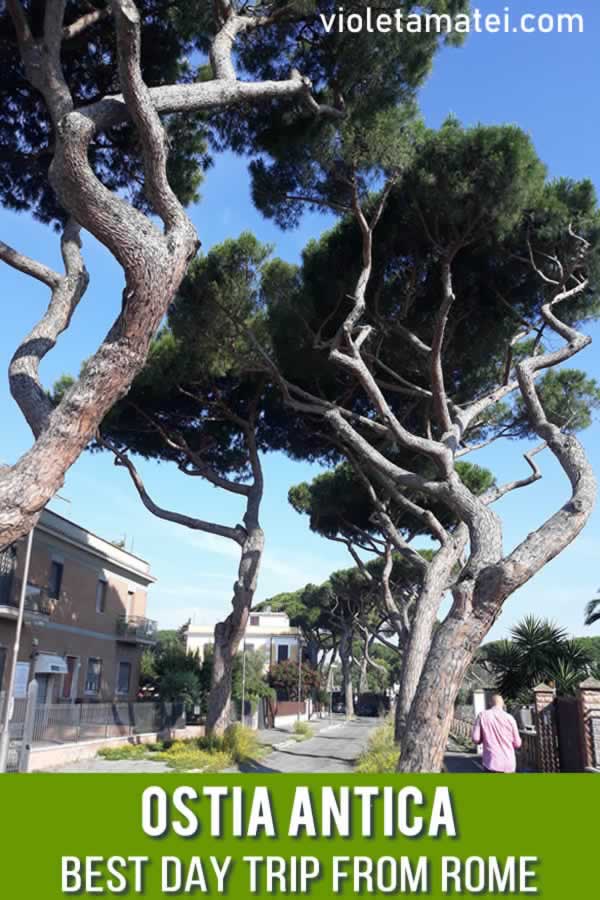 Ostia Antica day trip from Rome