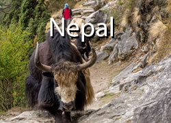 nepal travel