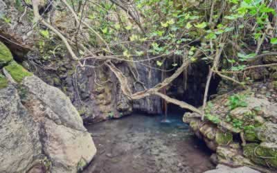 Aphrodite Baths Tours from Paphos, Cyprus