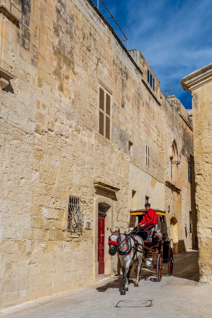 Boy with red shirt driving horse cart in Mdina of Malta