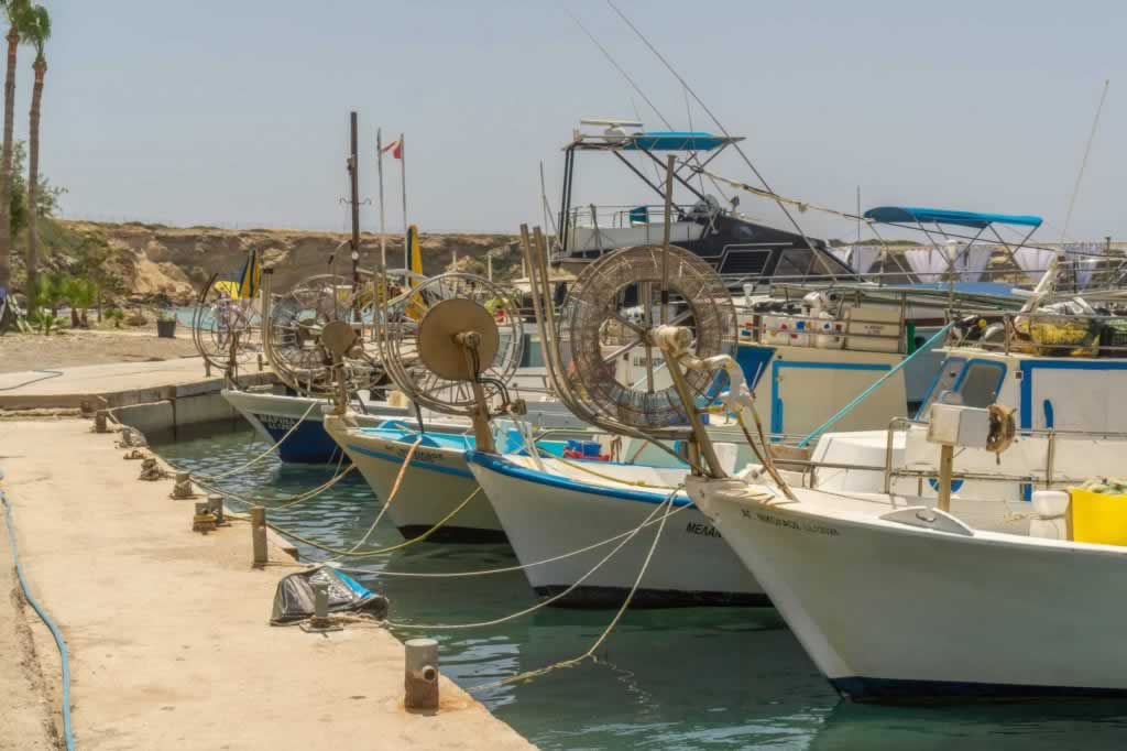 paphos harbour boats
