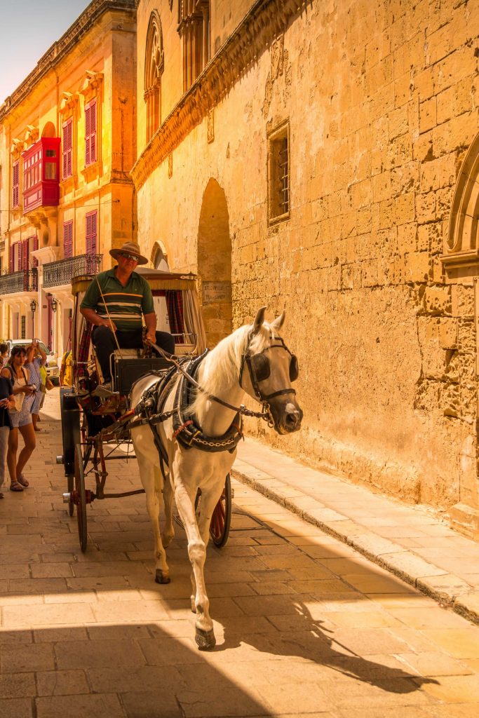 mdina malta silent city horse