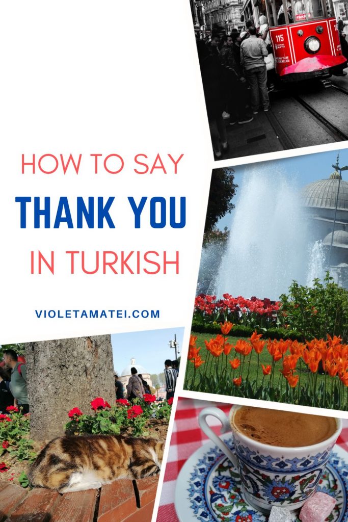 thank you turkish language