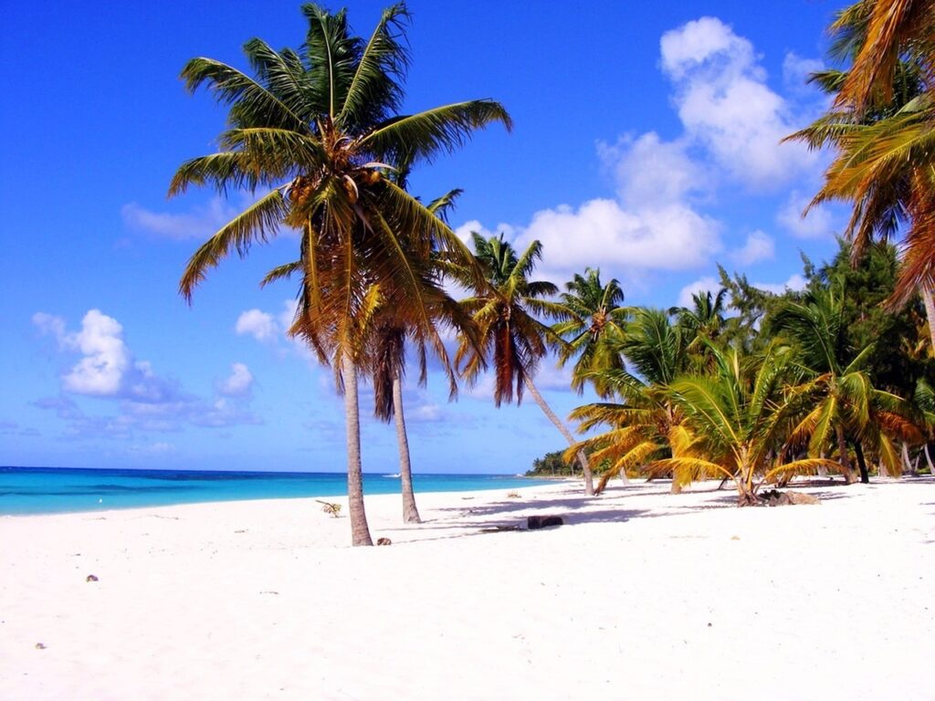 palm beach dominica