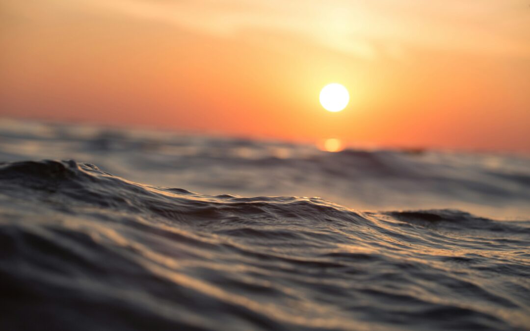 What the Sea Teaches Us About Slowing Down in a Fast World